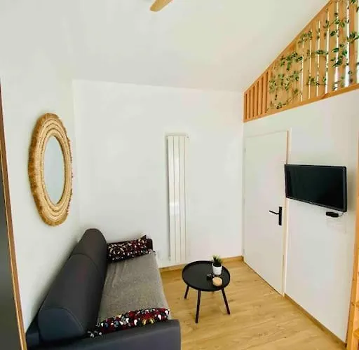 Cosy Secteur Calme Tram A 120 M Gare Aeroport Apartment *